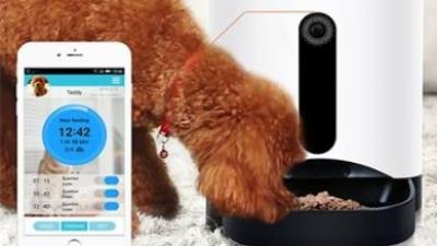 Elektronické smart vychytávky pre vašich miláčikov